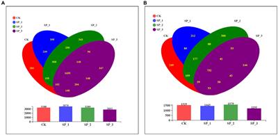 Effect of ginsenosides on microbial community and enzyme activity in continuous cropping soil of ginseng